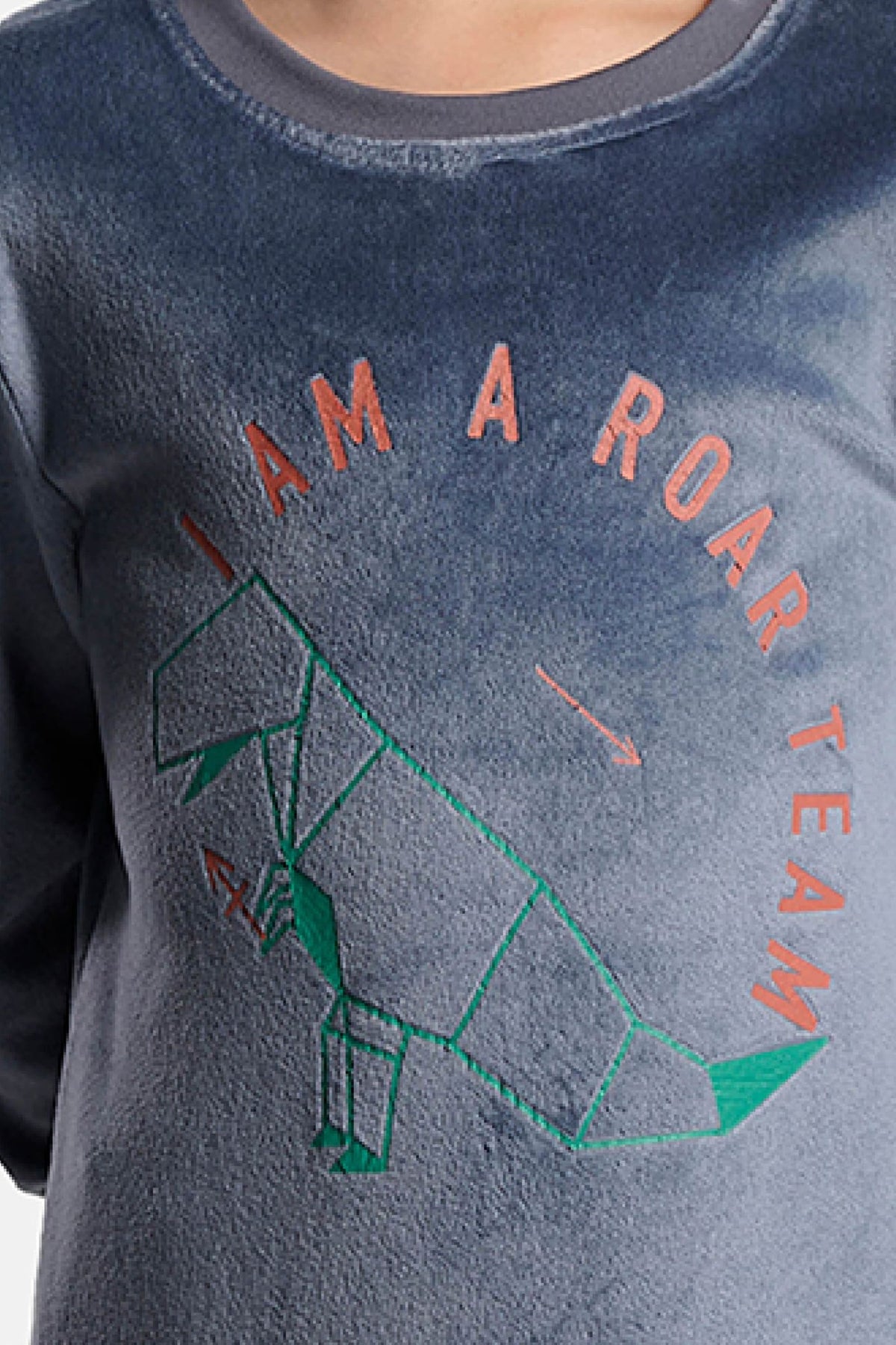 Pyjama long garçon velours imprimé dinosaures I am a roar team